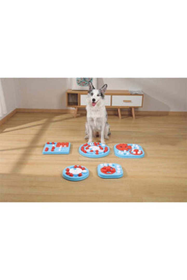 M-Pets Köpek Eğitim Oyuncağı Puzzle 3.Seviye görsel 6