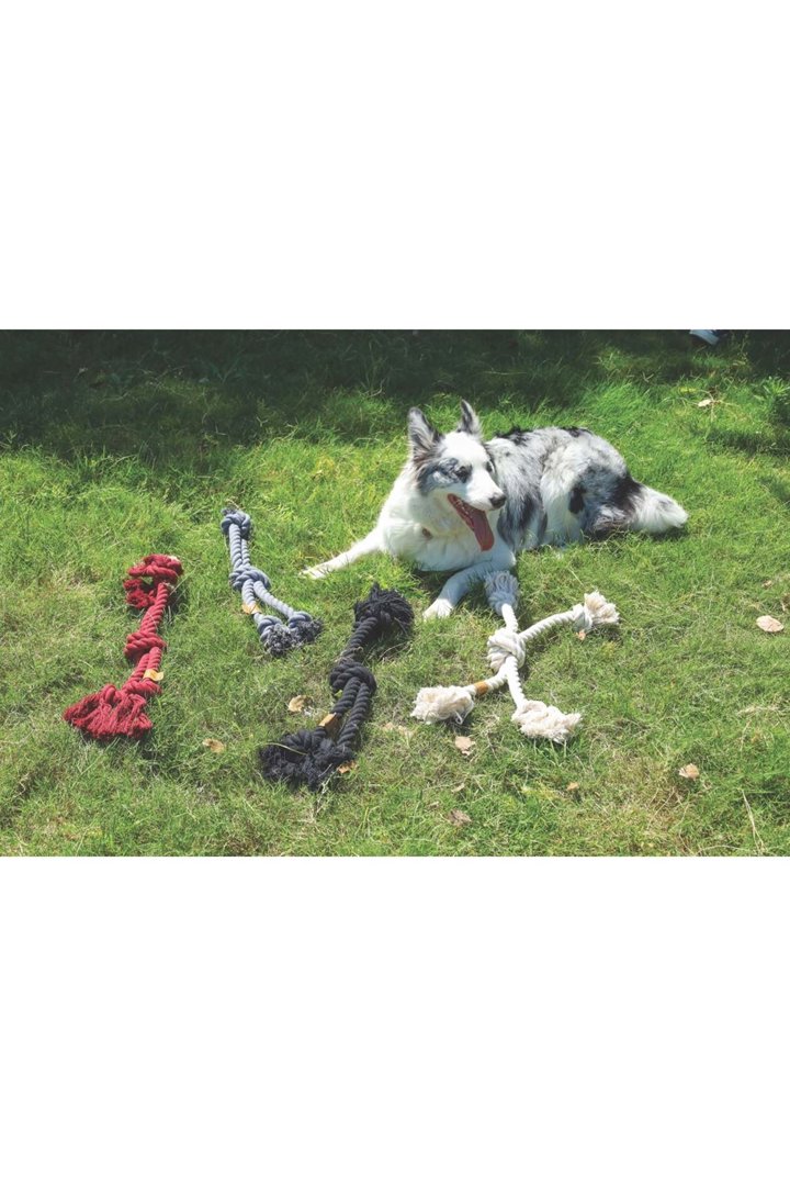 M-Pets Köpek Diş İpi Örgü Gri 60*11.5 Cm görsel 2