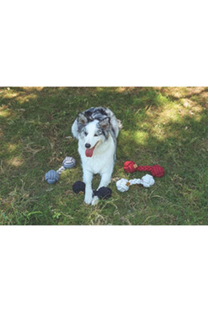 M-Pets Köpek Diş İpi İki Düğümlü Gri 28*9 Cm görsel 2