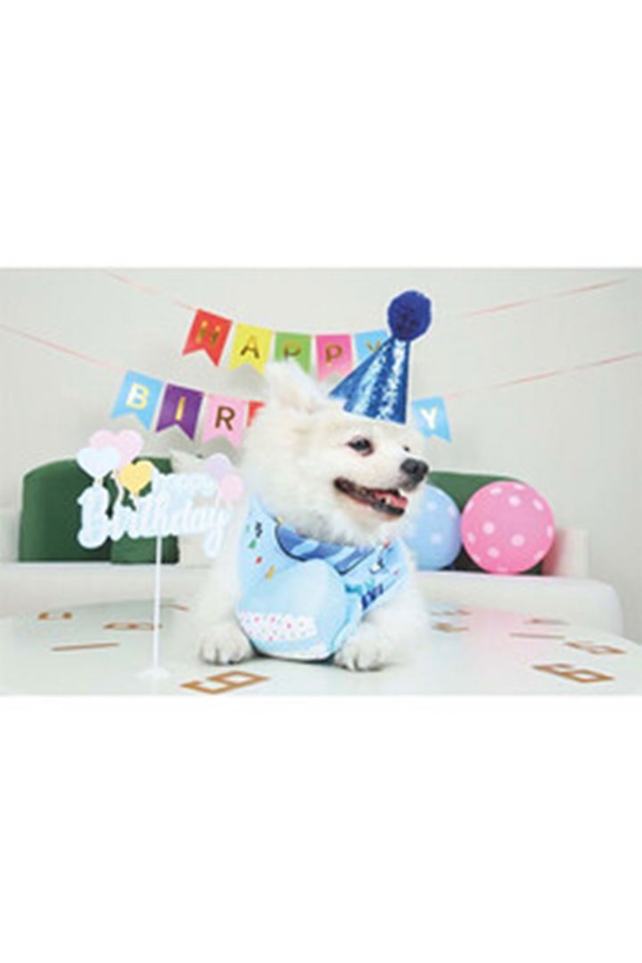 M-Pets Erkek Köpekler İçin Doğum Günü Seti görsel 3