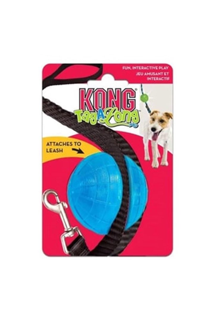 Kong Köpek Oyuncağı Ödül Maması Oyuncağı (M)