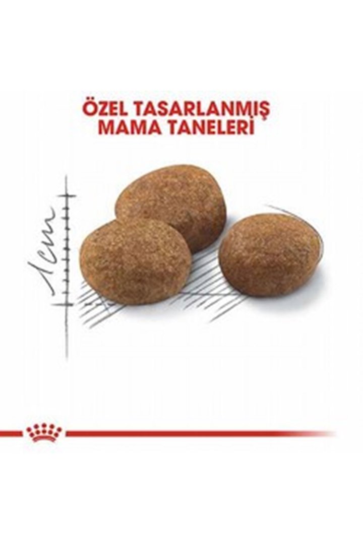 Royal Canin Kısır Kedi Maması 7+ Yaş 1.5 Kg görsel 4