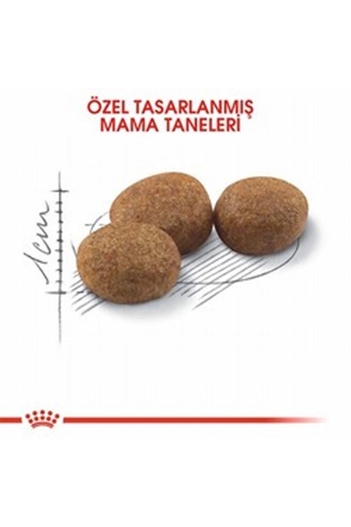 Royal Canin Kısır Kedi Maması Sterilised37 4 Kg görsel 3