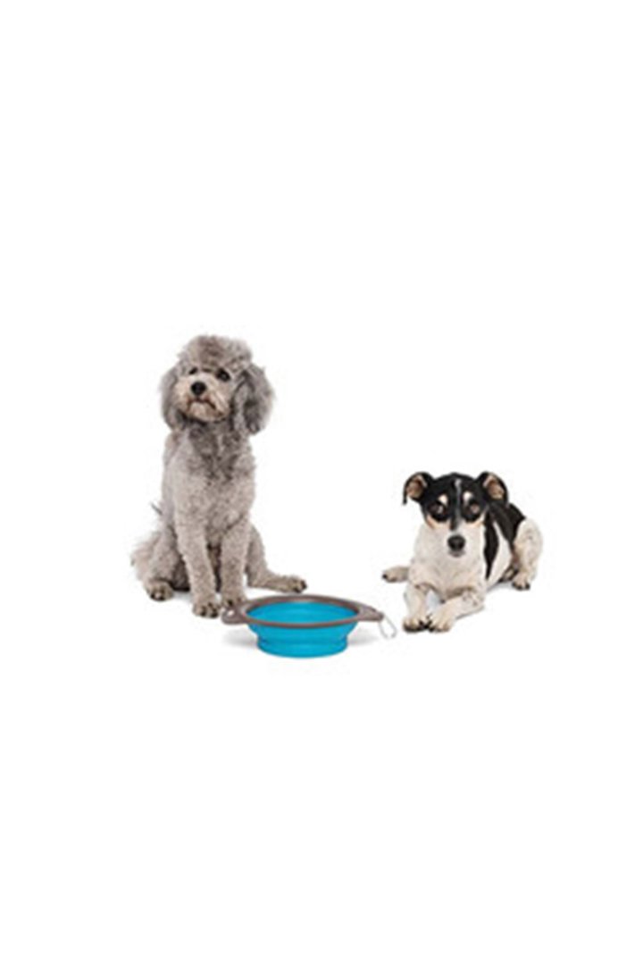 M-Pets Mama ve Su Kabı Katlanır Silikon Mavi 750Ml görsel 2