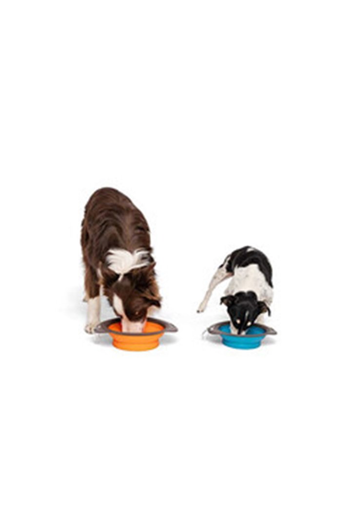 M-Pets Mama ve Su Kabı Katlanır Silikon Mavi 750Ml görsel 4