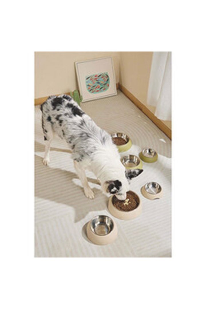 M-Pets Mama ve Su Kabı Eco Bamboo Yeşil 600 Ml görsel 4