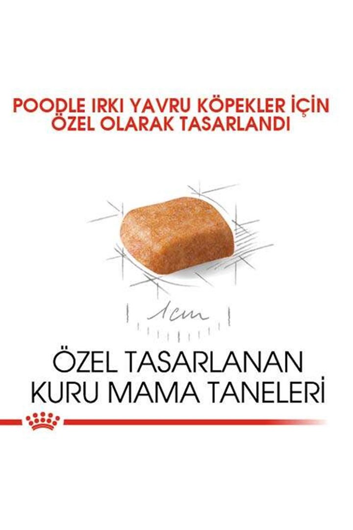 Royal Canin Köpek Maması Poodle 2 Kg+2 Pouch görsel 3