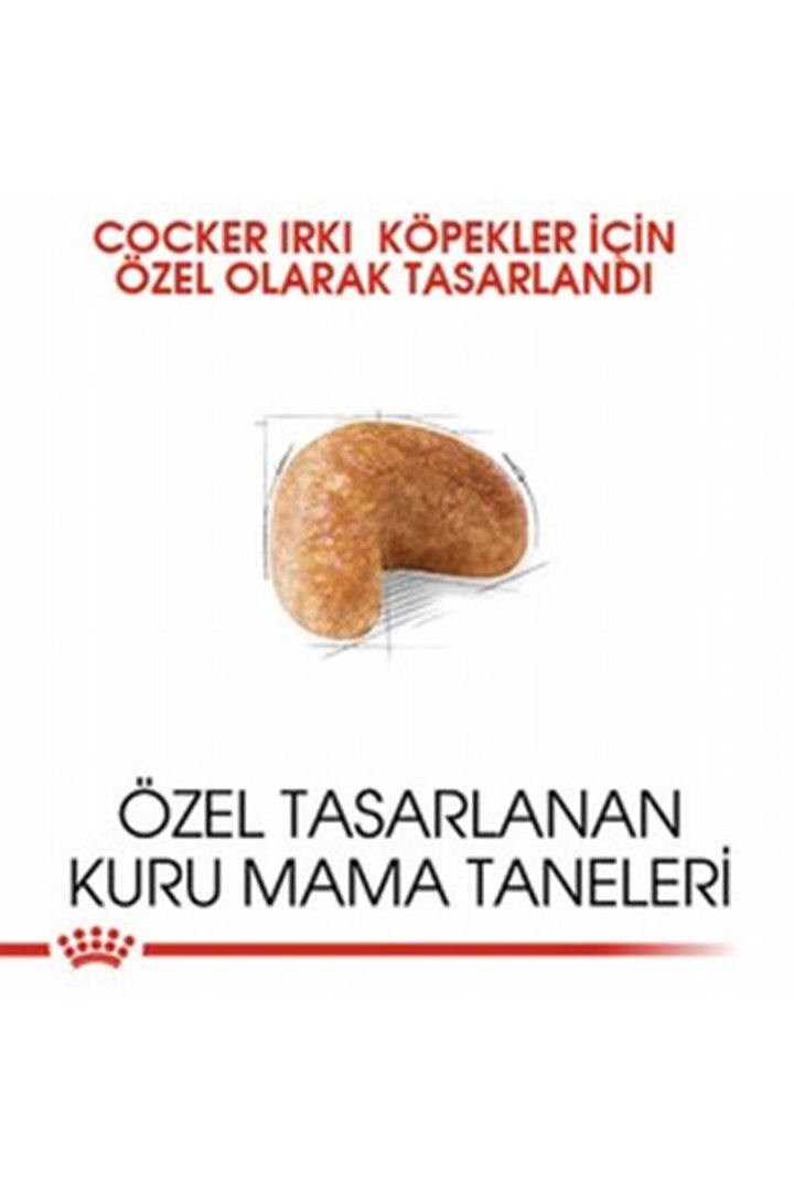 Royal Canin Köpek Maması Cocker 3 Kg görsel 3