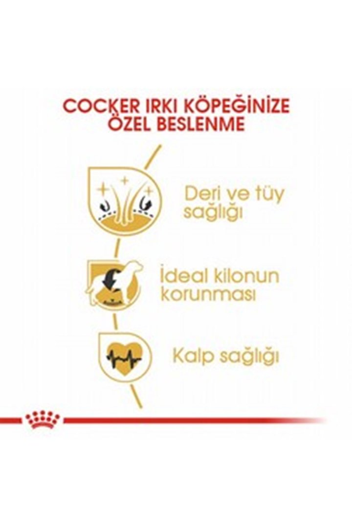 Royal Canin Köpek Maması Cocker 3 Kg görsel 4