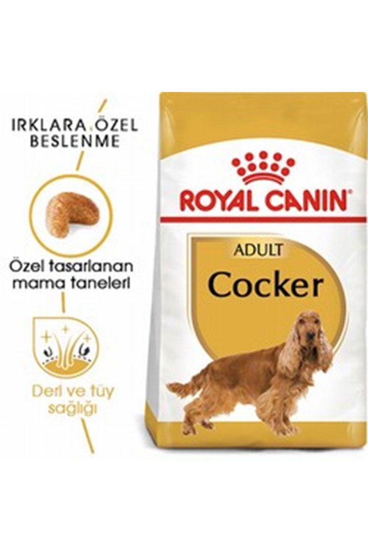Royal Canin Köpek Maması Cocker 3 Kg görsel 7