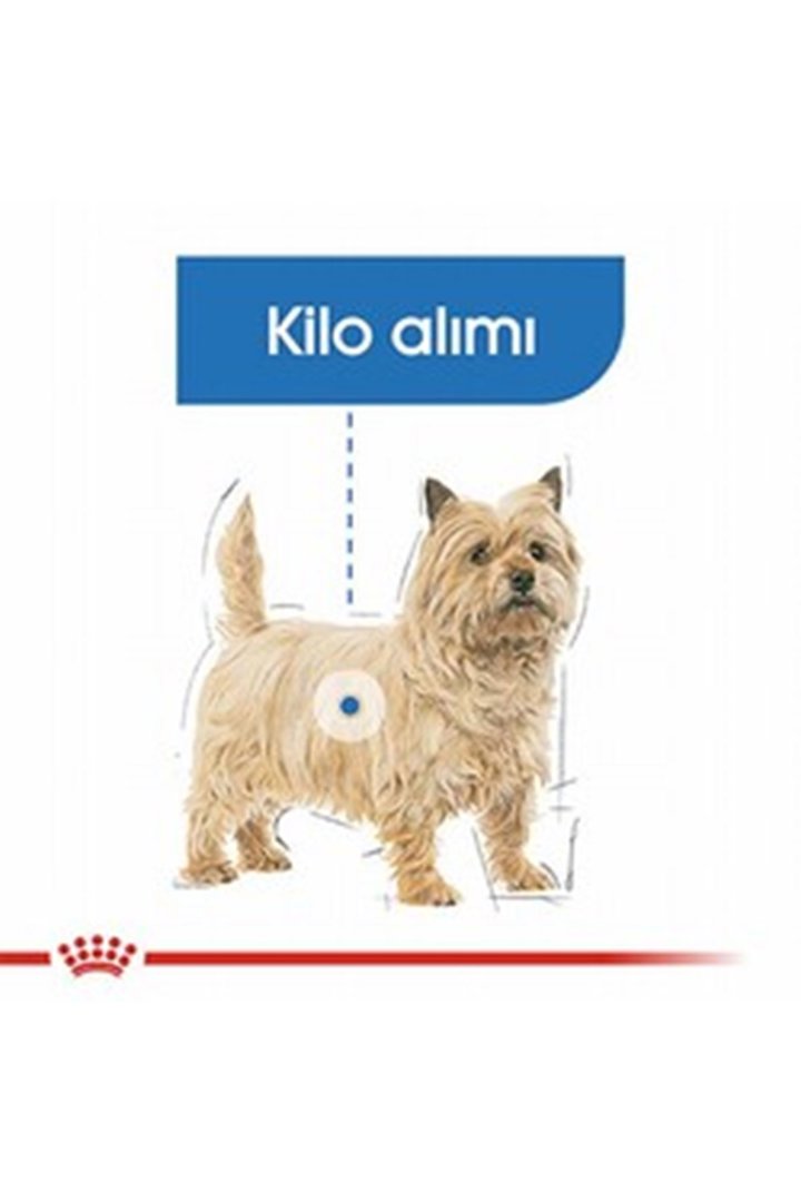 Royal Canin Köpek Maması Light Weight Mini Irk 3Kg görsel 4