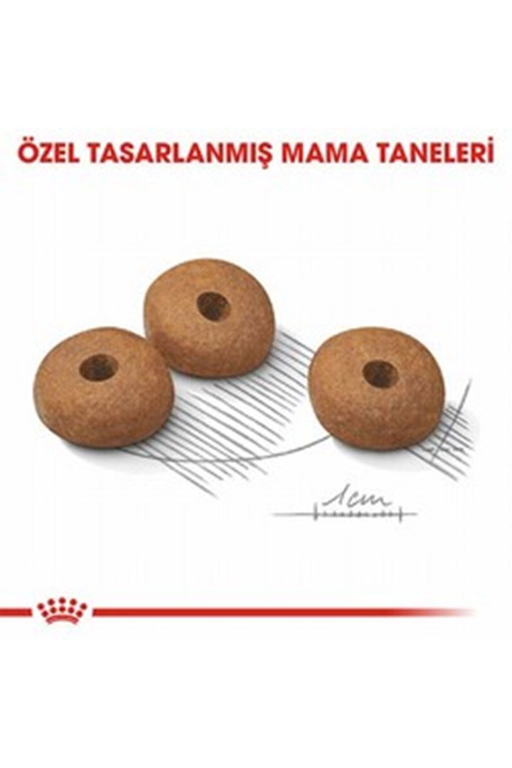 Royal Canin Köpek Maması Light Weight Mini Irk 3Kg görsel 6