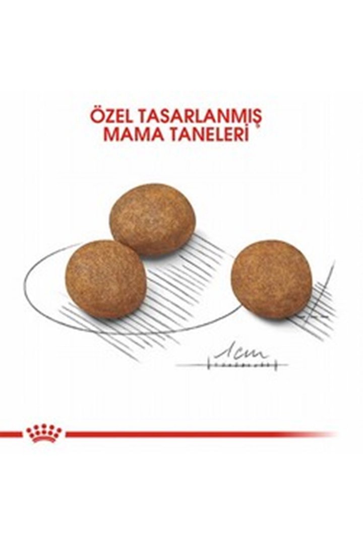 Royal Canin Yavru Köpek Maması Büyük Irk 15 Kg görsel 2
