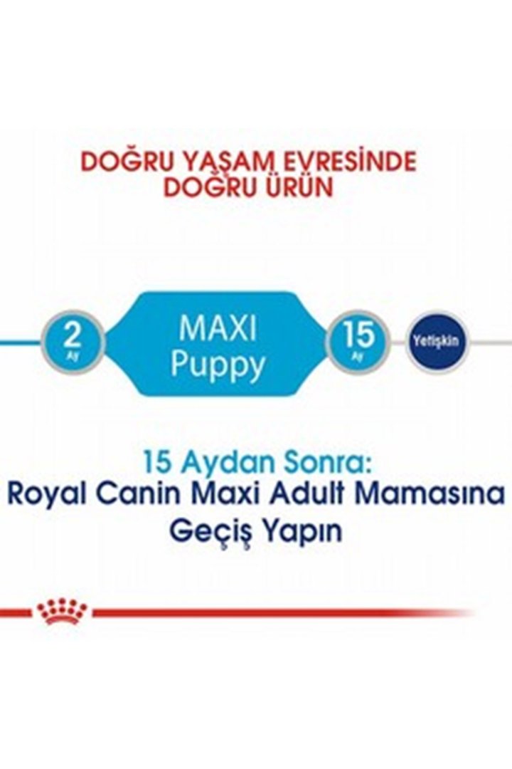 Royal Canin Yavru Köpek Maması Büyük Irk 15 Kg görsel 3