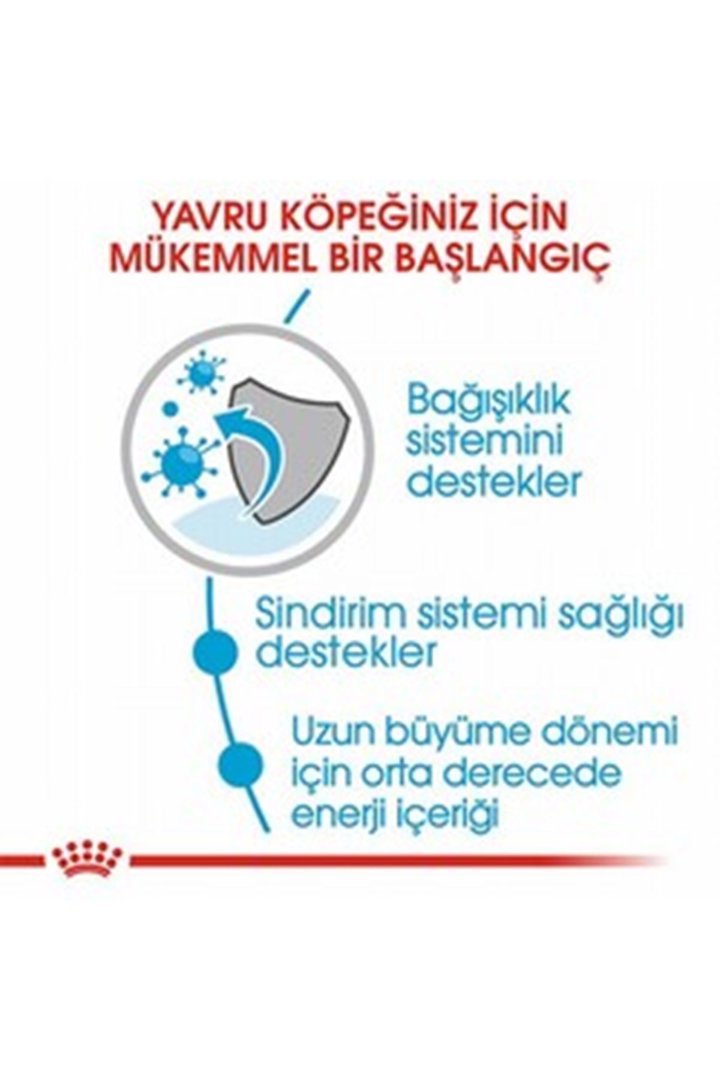 Royal Canin Yavru Köpek Maması Büyük Irk 15 Kg görsel 4