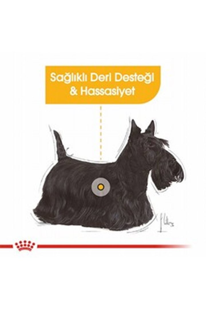 Royal Canin Köpek Maması Dermacomfort Mini Irk 3Kg görsel 2