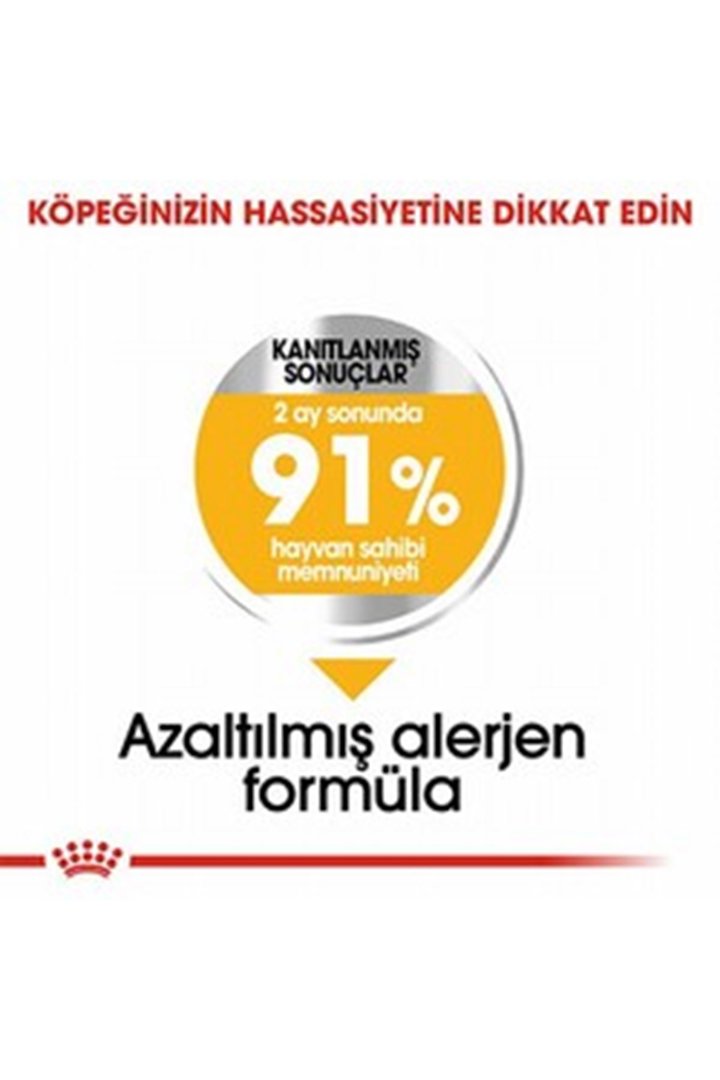 Royal Canin Köpek Maması Dermacomfort Mini Irk 3Kg görsel 3