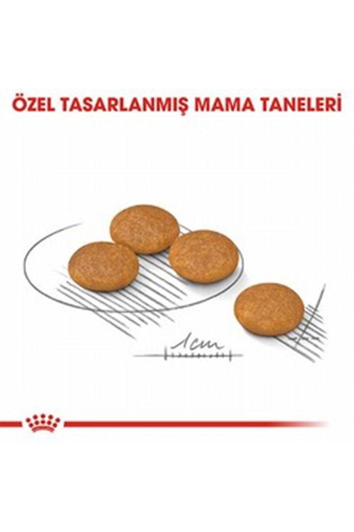 Royal Canin Köpek Maması Dermacomfort Mini Irk 3Kg görsel 4