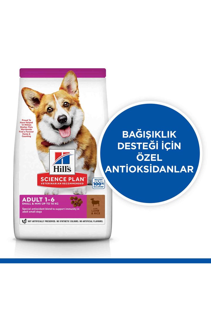 Hill's Köpek Maması M. Irk K. ve Pirinç 1,5 Kg görsel 4
