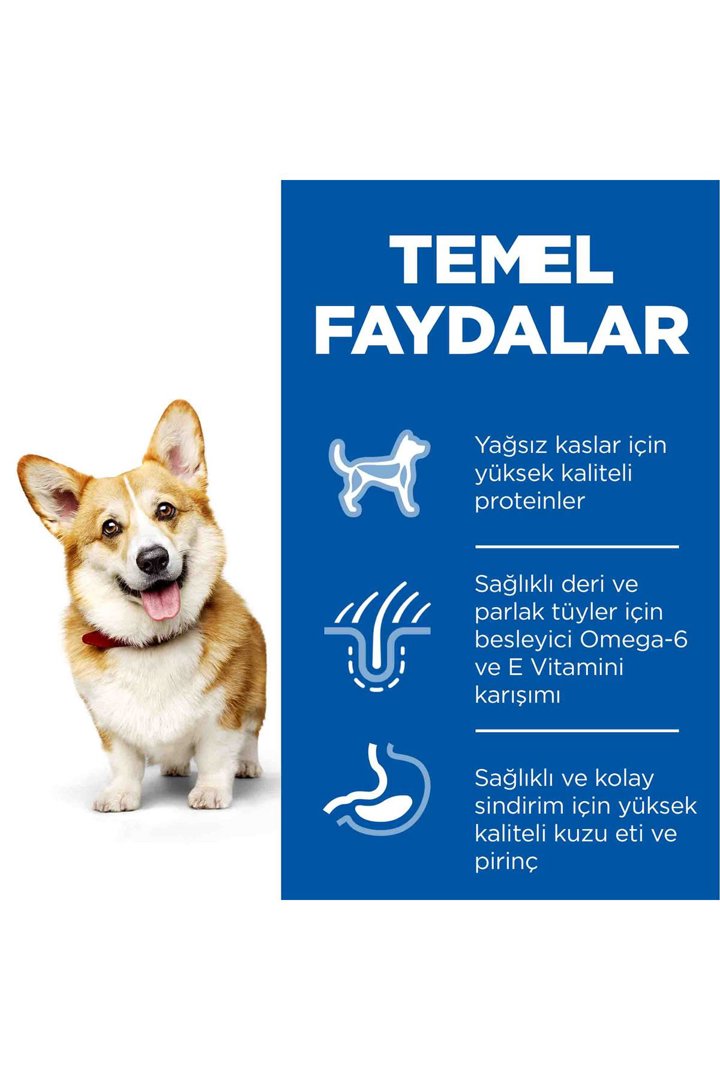 Hill's Köpek Maması M. Irk K. ve Pirinç 1,5 Kg görsel 5