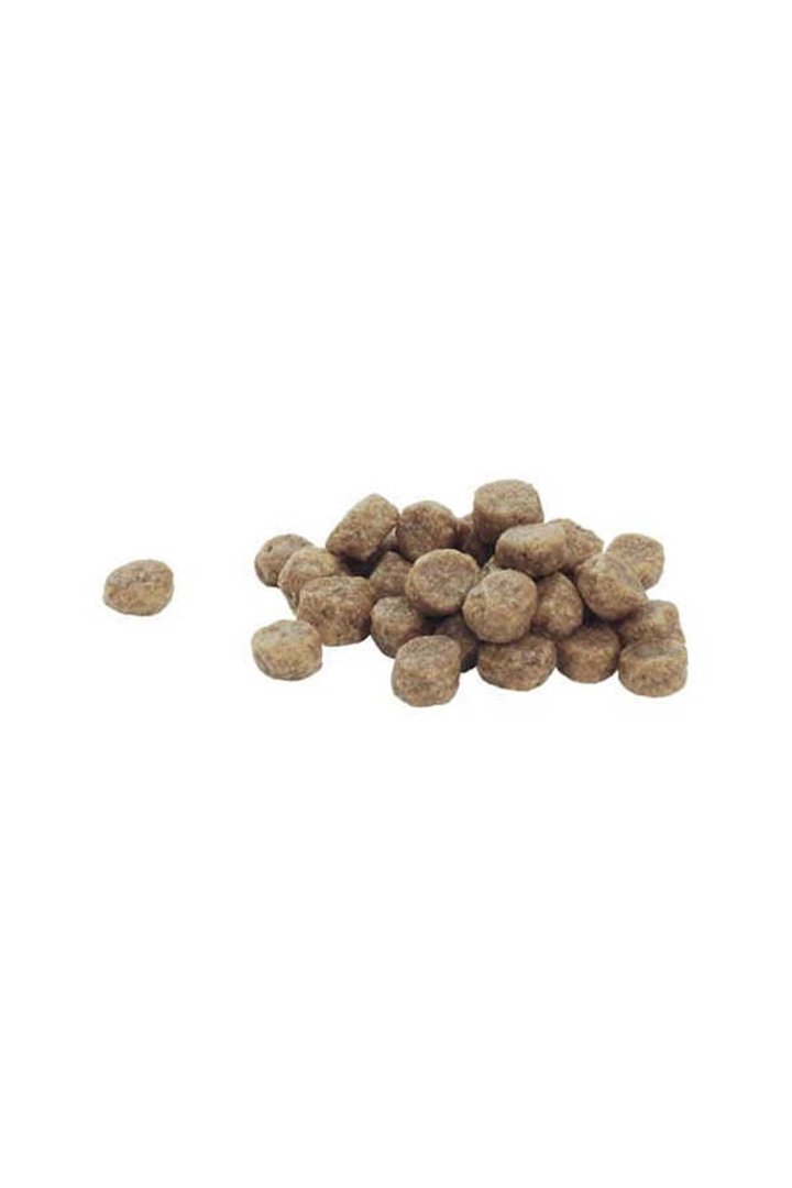 Proplan Yavru Köpek Maması Küçük Irk Somonlu 3 Kg görsel 4
