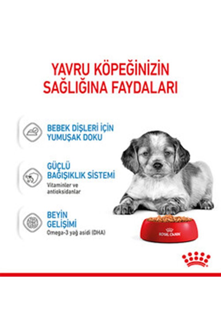 Royal Canin Yavru Köpek Yaş Maması Orta Irk 140 G görsel 3