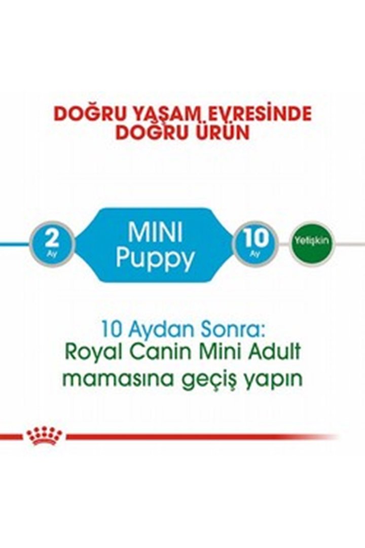 Royal Canin Yavru Köpek Yaş Maması Mini Irk 85 G görsel 2