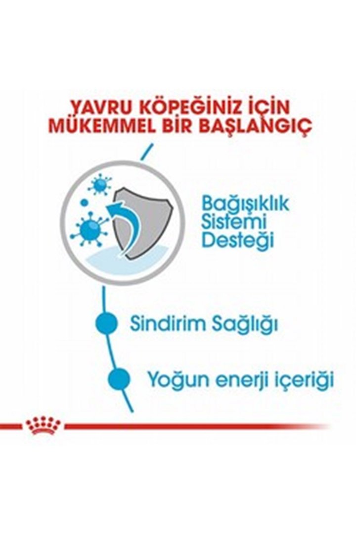 Royal Canin Yavru Köpek Yaş Maması Mini Irk 85 G görsel 3