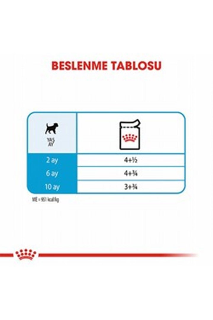 Royal Canin Yavru Köpek Yaş Maması Mini Irk 85 G görsel 5