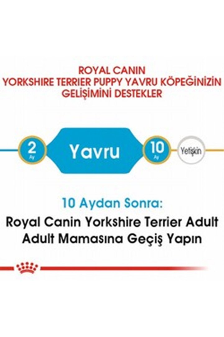 Royal Canin Yavru Köpek Maması Yorkshire 1.5 Kg görsel 4