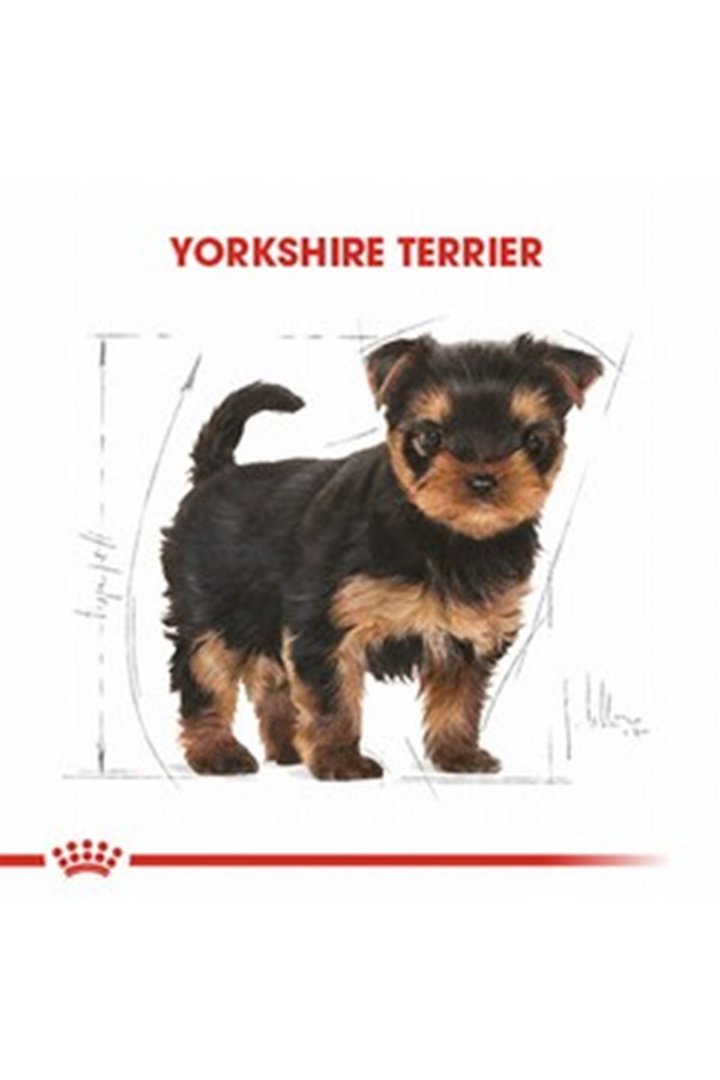 Royal Canin Yavru Köpek Maması Yorkshire 1.5 Kg görsel 8