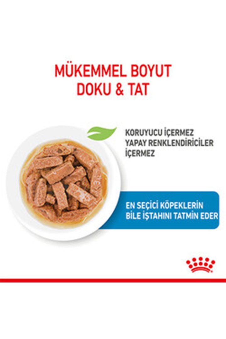 Royal Canin Yavru Köpek Yaş Maması Maxi 140 G görsel 4