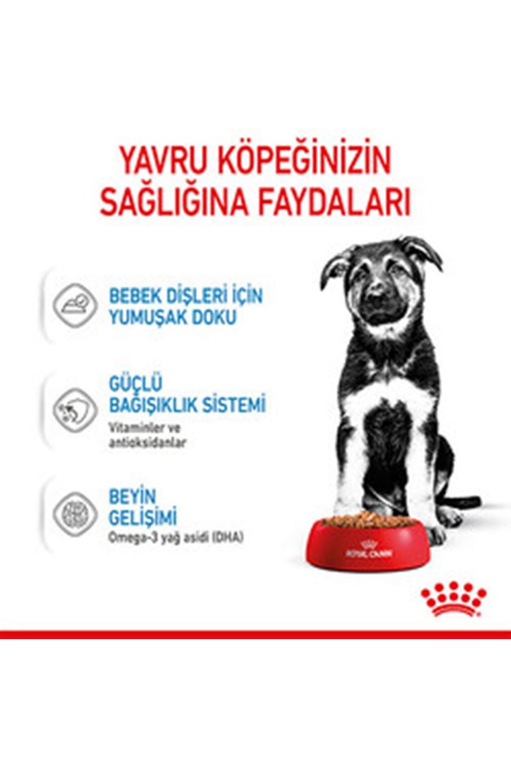 Royal Canin Yavru Köpek Yaş Maması Maxi 140 G görsel 6