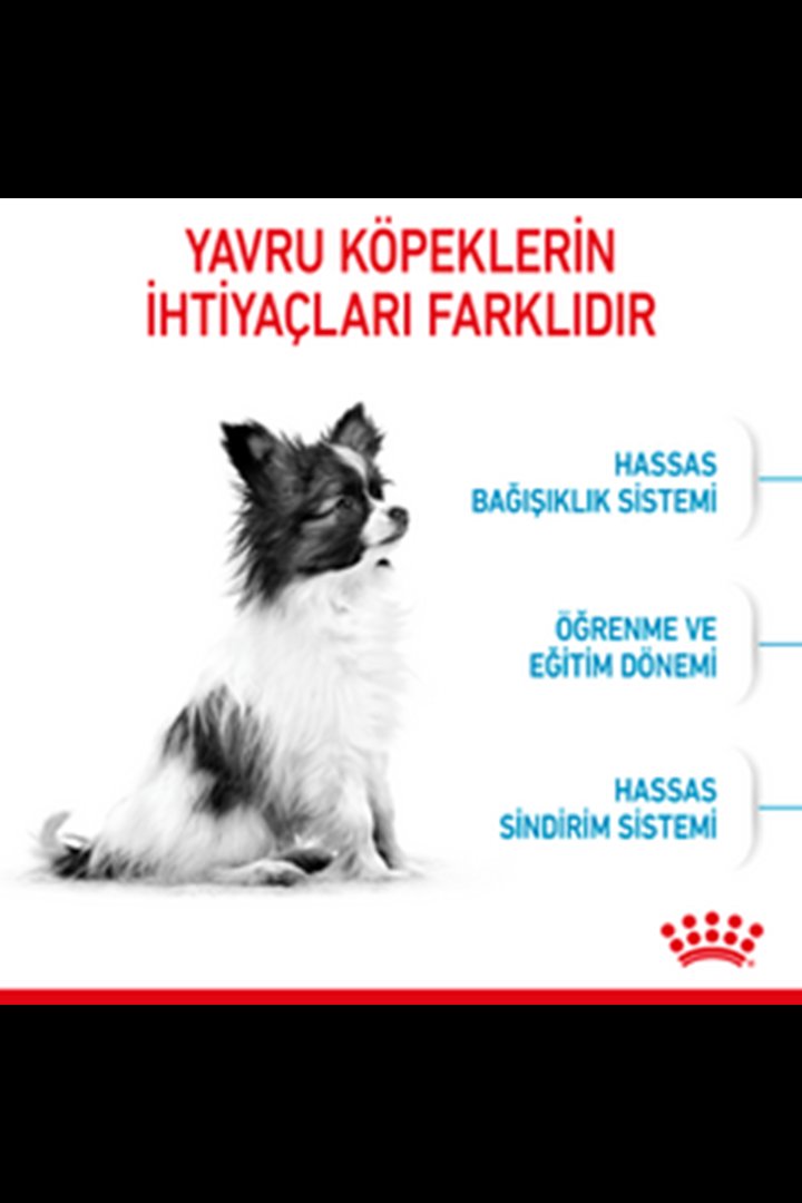 Royal Canin Yavru Köpek Maması Xsmall 3 Kg görsel 4