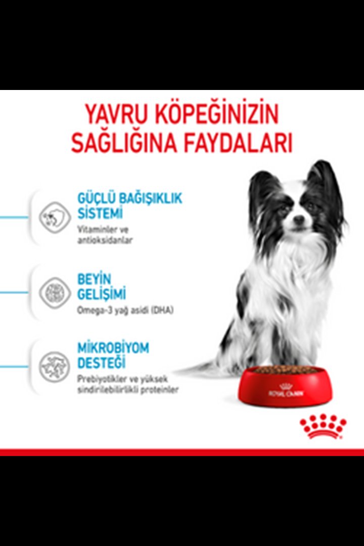 Royal Canin Yavru Köpek Maması Xsmall 3 Kg görsel 5