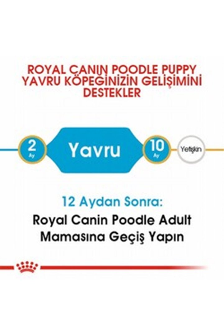Royal Canin Yavru Köpek Maması Poodle 3 Kg görsel 3
