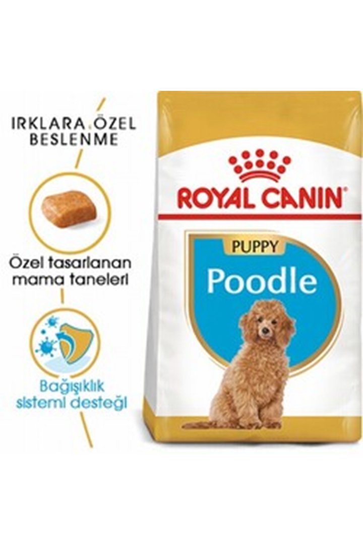 Royal Canin Yavru Köpek Maması Poodle 3 Kg