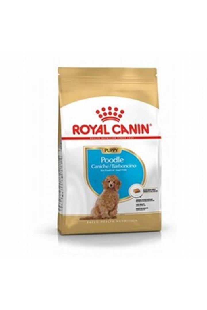 Royal Canin Yavru Köpek Maması Poodle 3 Kg görsel 2