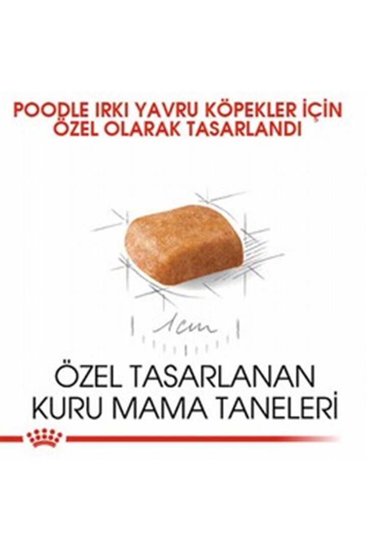 Royal Canin Yavru Köpek Maması Poodle 3 Kg görsel 7