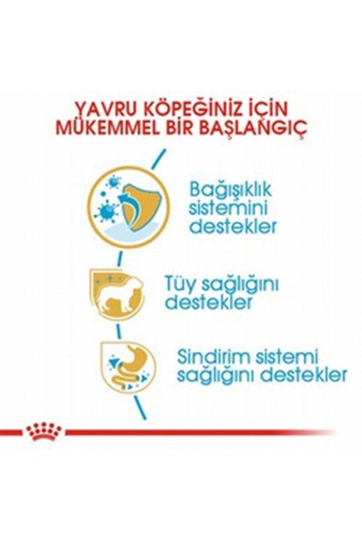 Royal Canin Yavru Köpek Maması Poodle 3 Kg görsel 8