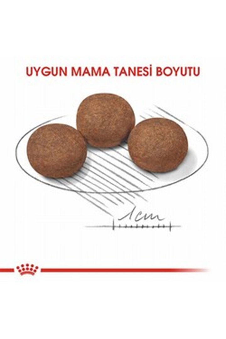 Royal Canin Yavru Köpek Maması Orta Irk 4 Kg görsel 6