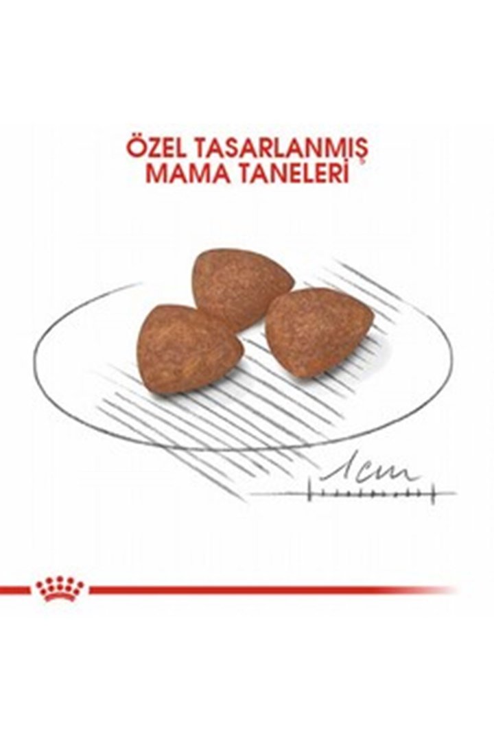 Royal Canin Yavru Köpek Maması Mini Küçük Irk 4 Kg görsel 7