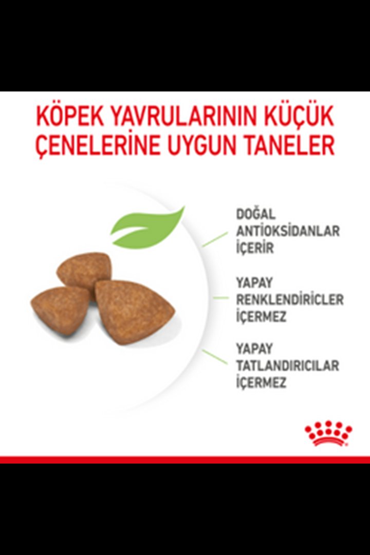 Royal Canin Yavru Köpek Maması Küçük Irk 1.5 Kg görsel 3