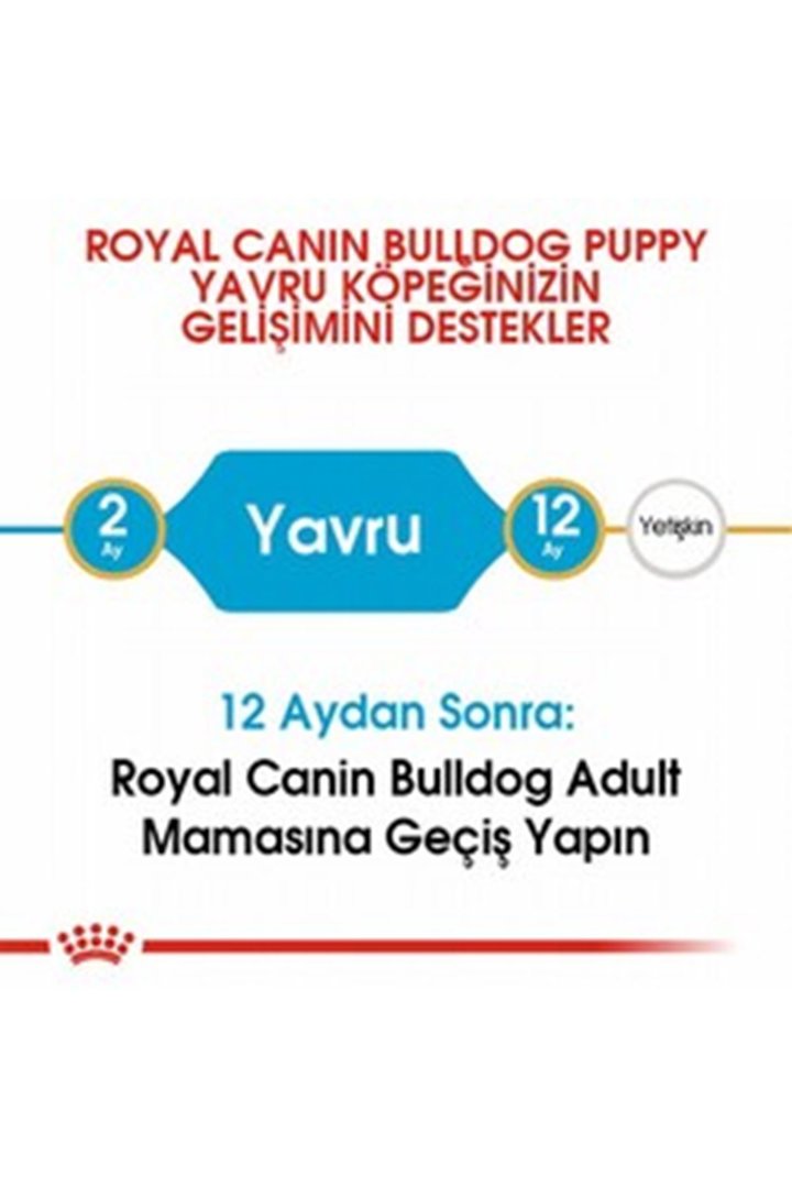 Royal Canin Yavru Köpek Maması Fransız Bulldog 3Kg görsel 3