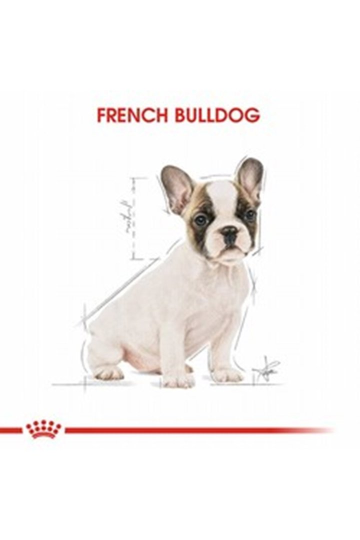 Royal Canin Yavru Köpek Maması Fransız Bulldog 3Kg görsel 6