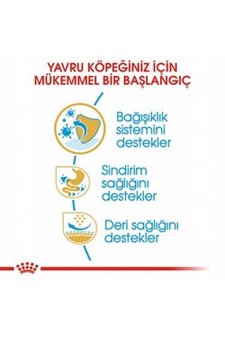 Royal Canin Yavru Köpek Maması Fransız Bulldog 3Kg görsel 8