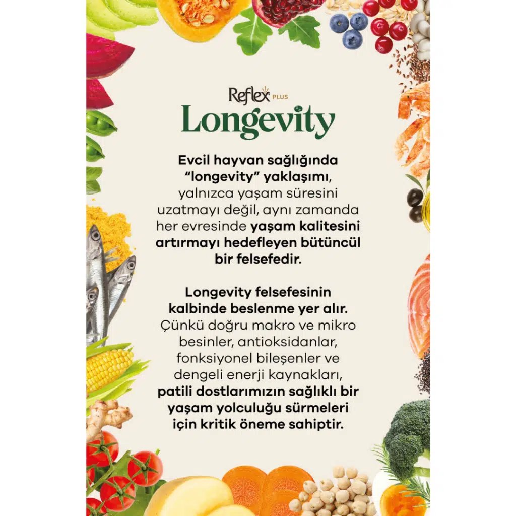 Longevity Kedi Maması 1.1 Kg görsel 4
