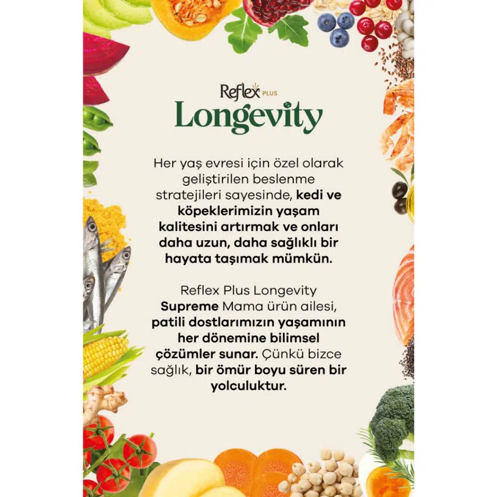 Longevity Kedi Maması 1.1 Kg görsel 3