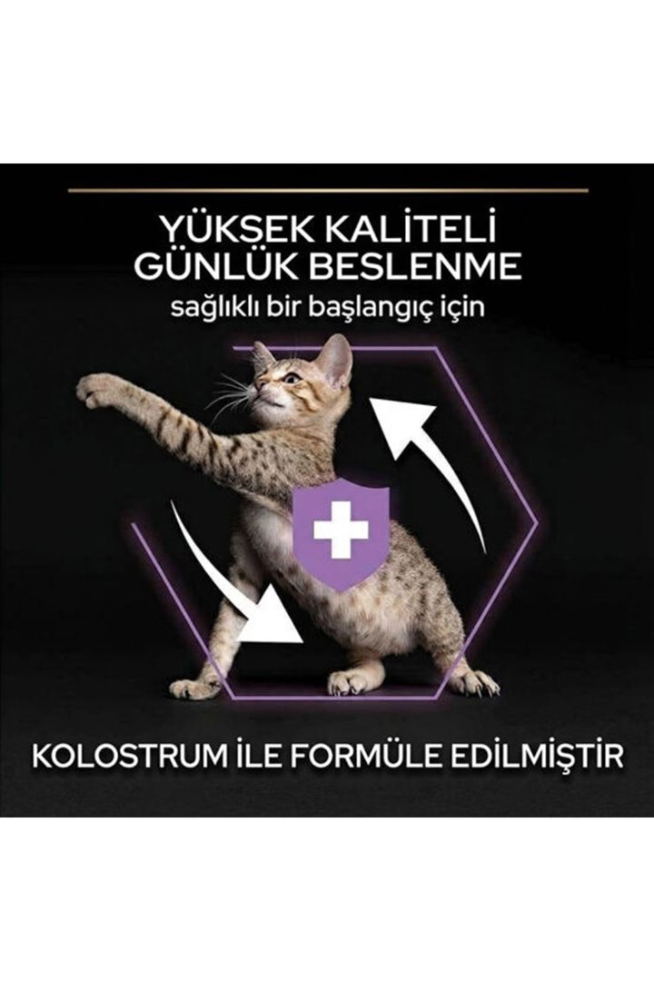 Proplan Yavru Kedi Maması Tavuklu 400 G görsel 2