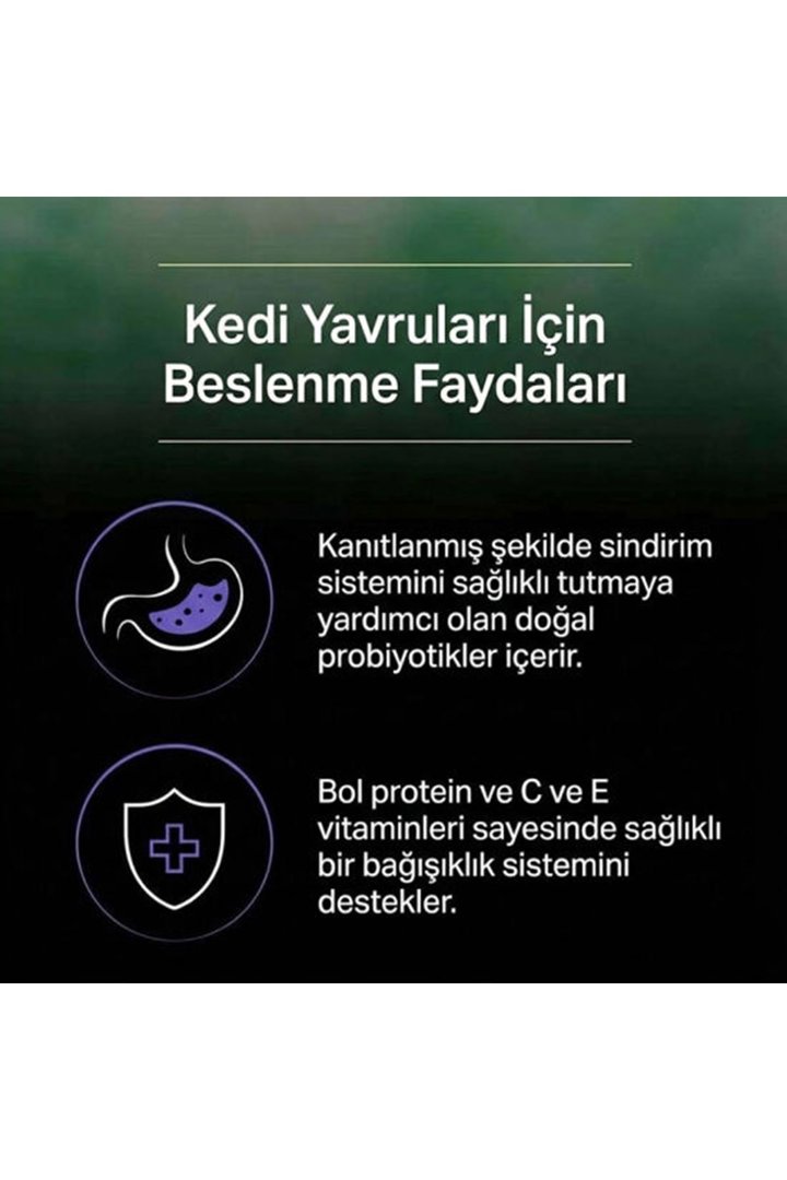 Proplan Yavru Kedi Maması Live Clear Hindili 1.4Kg görsel 4